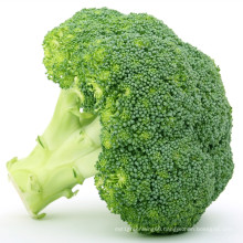 New Season Fresh Cruciferous Vegetable Export International Certifications Fresh Broccoli